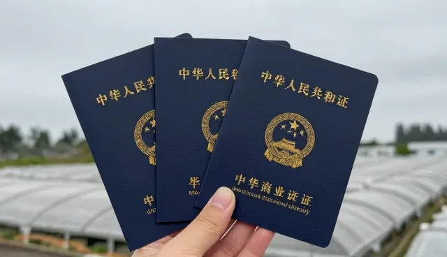 教育软件应用适用条件的深度解析与使用建议